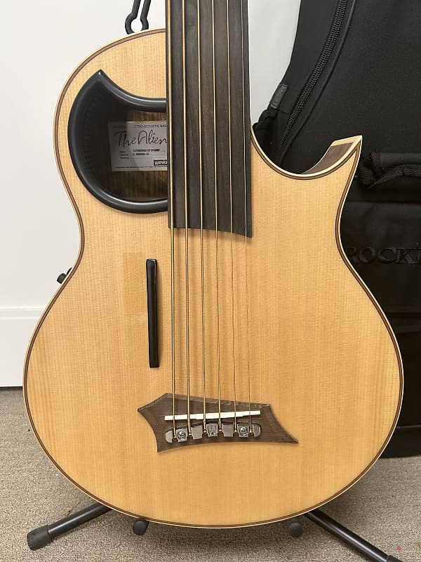 Warwick Alien 6 String Fretless Acoustic Electric Bass - Natural