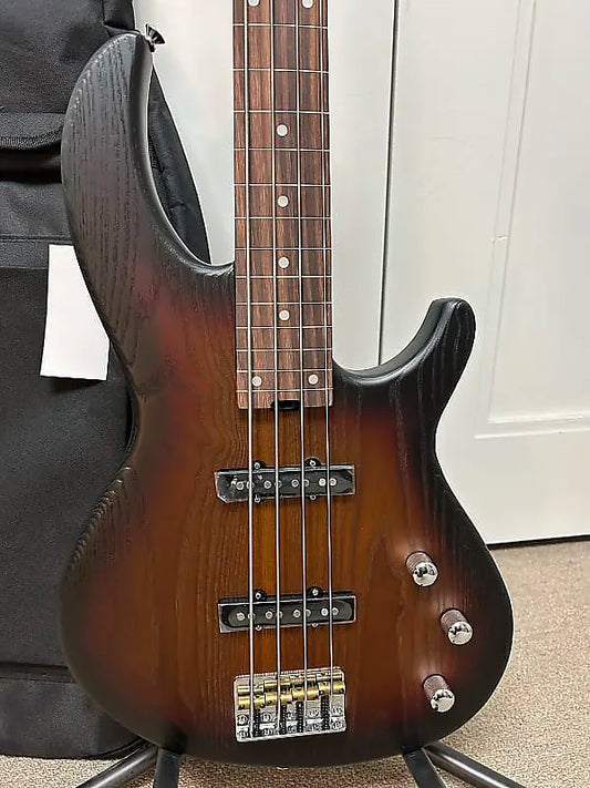 Aria Pro II Jaco Pastorius Tribute 313-JP Detroit Fretless Bass Guitar - Open Pore Sunburst w/Free Gigbag